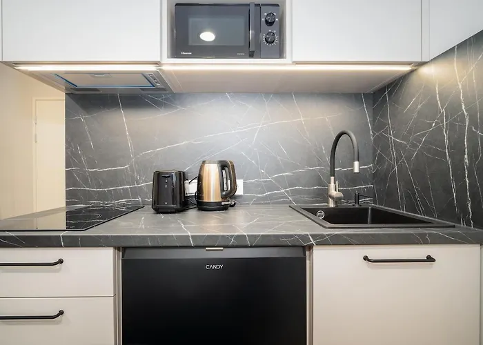 公寓 Airport-bus - 13 North - Family 9 塔林